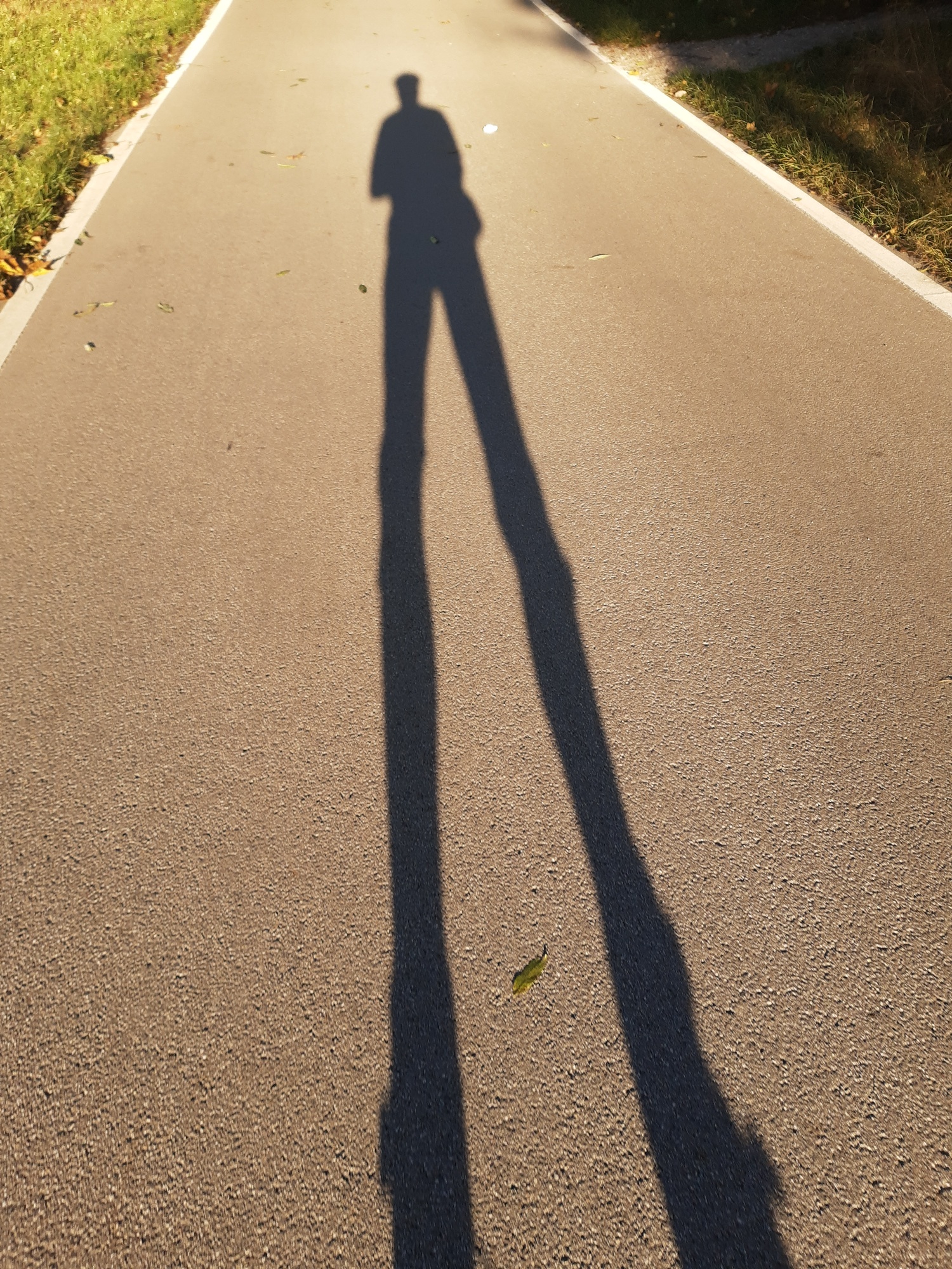 long shadow of a skater