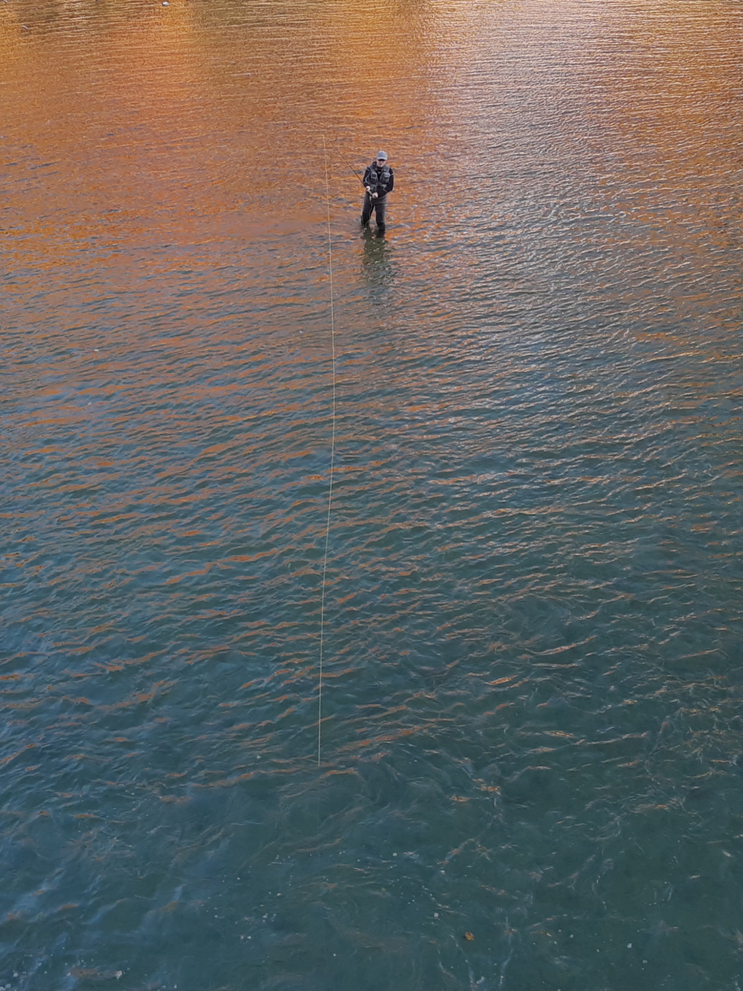 angler in a river